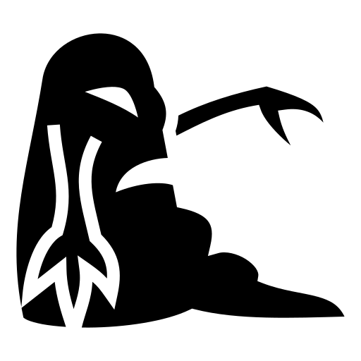 xds